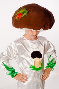 Костюм гриба Боровика, купить детский карнавальный костюм - магазин Серый Волк